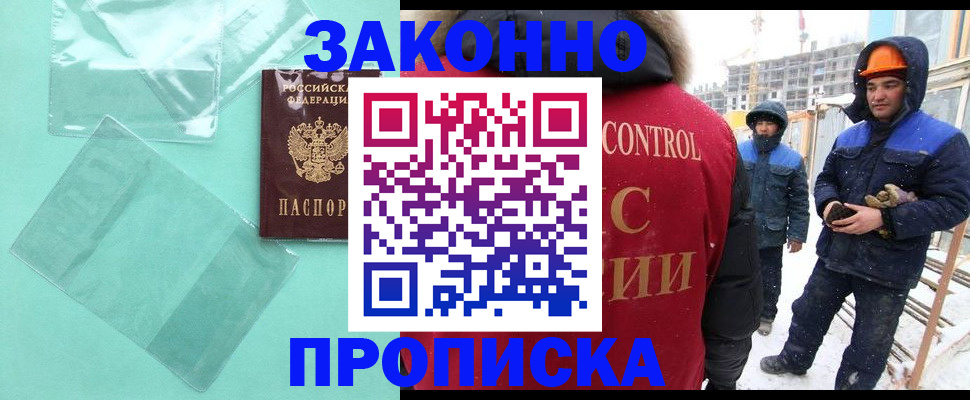 прописка 2025 в Камышине